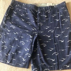 Men shorts